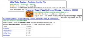 google snippets